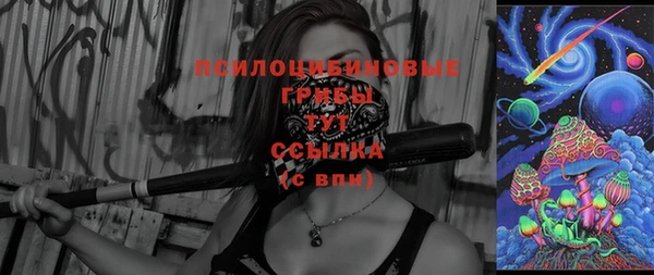 jwh Белокуриха